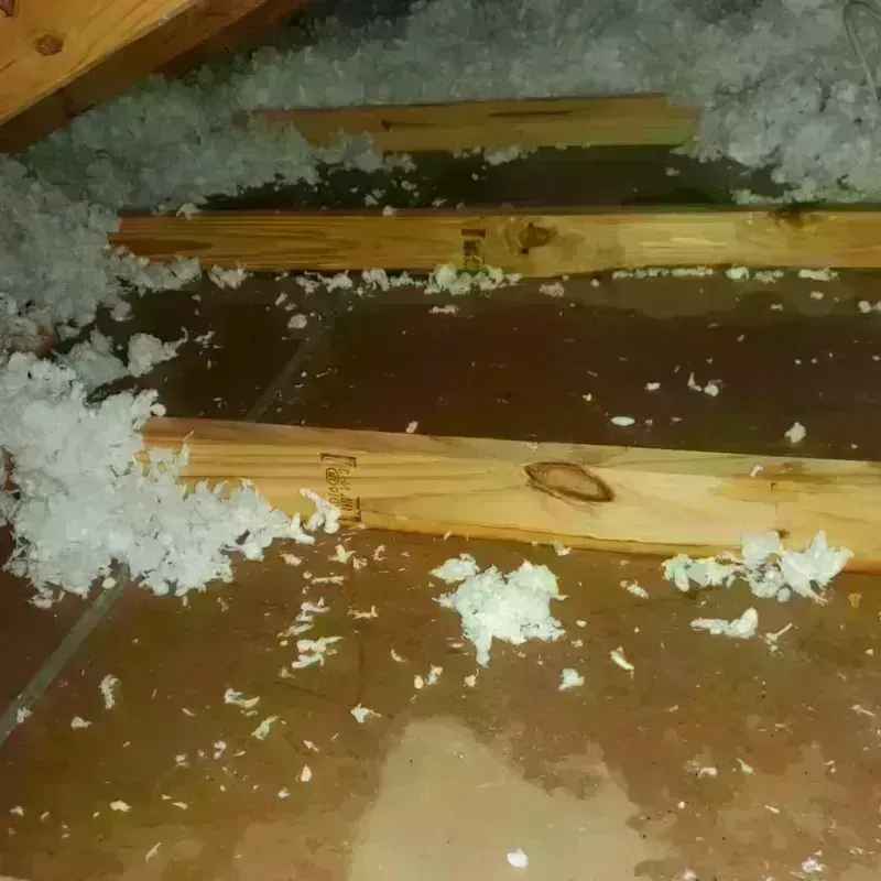 Attic Water Damage in Brown County, KS