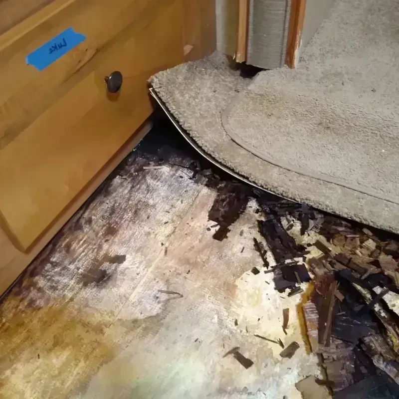 Wood Floor Water Damage in Brown County, KS